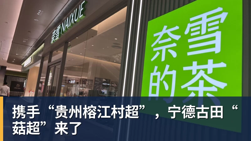 悟空体育携手“贵州榕江村超”，宁德古田“菇超”来了
