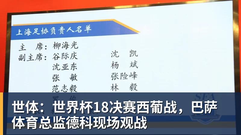 世体:世界杯18决赛西葡战,巴萨体育总监德科现场观战