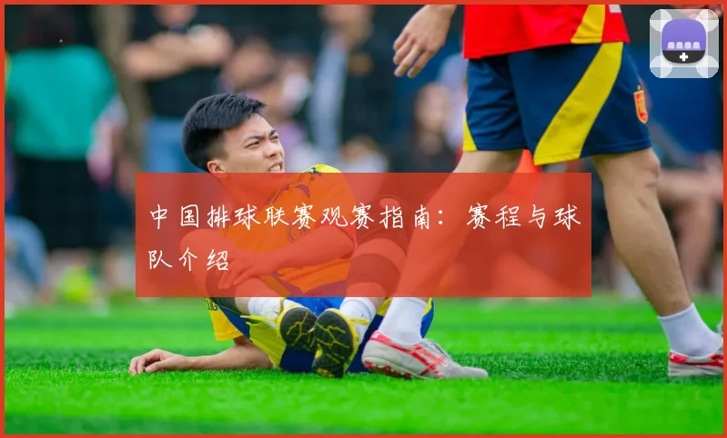 中国排球联赛观赛指南：赛程与球队介绍