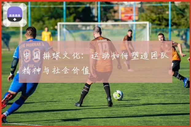 中国排球文化：运动如何塑造团队精神与社会价值